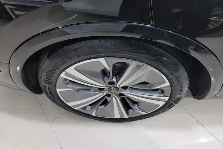 Used Hongqi E-HS9 2022 660 km Range Flagway Edition Six Seats Exterior 5