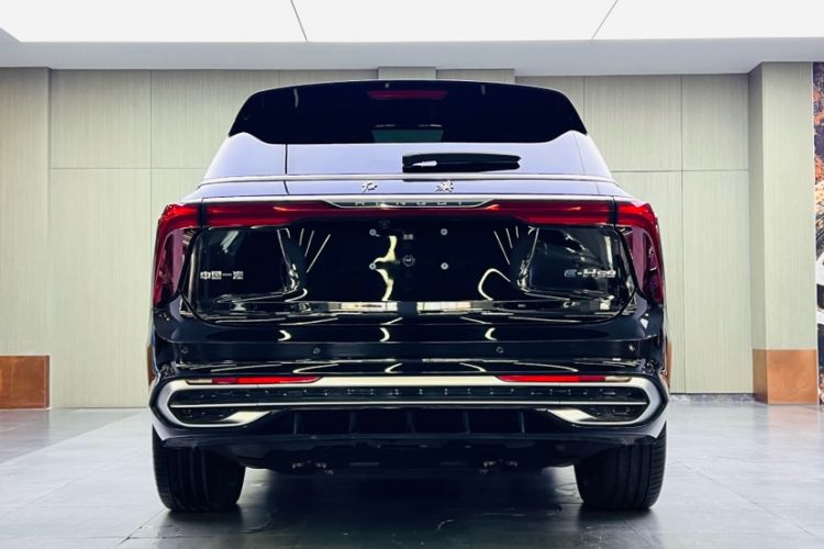 Used Hongqi E-HS9 2022 690 km Range Flagship Edition Six Seats Exterior 5