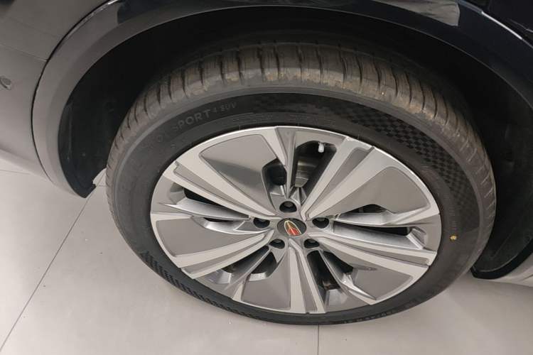 Used Hongqi E-HS9 2022 660 km Range Flagway Edition Six Seats Exterior 5