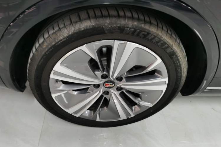 Used Hongqi E-HS9 2022 660 km Range Flagway Edition Six Seats Exterior 5