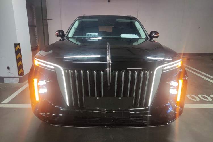 Used Hongqi E-HS9 2022 690 km Range Flagship Edition Six Seats Front