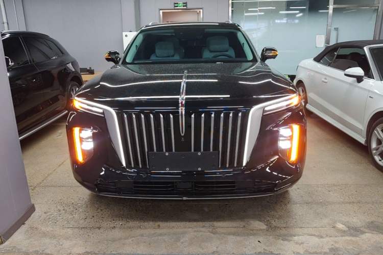 Used Hongqi E-HS9 2022 690 km Range Flagship Edition Six Seats Front