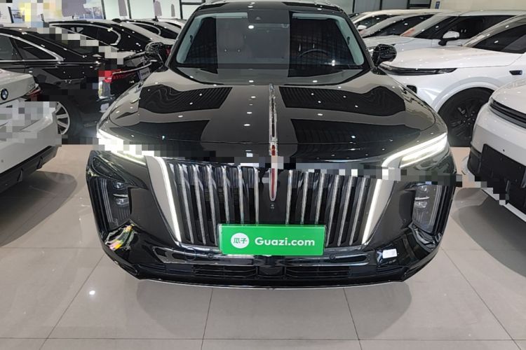 Used Hongqi E-HS9 2022 690 km Range Flagship Edition Six Seats Front
