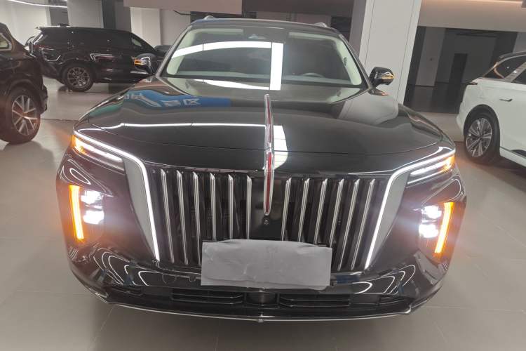 Used Hongqi E-HS9 2022 660 km Range Flagway Edition Six Seats Front