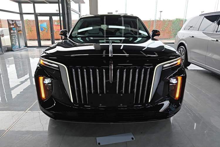 Used Hongqi E-HS9 2022 690 km Range Flagship Edition Six Seats Front