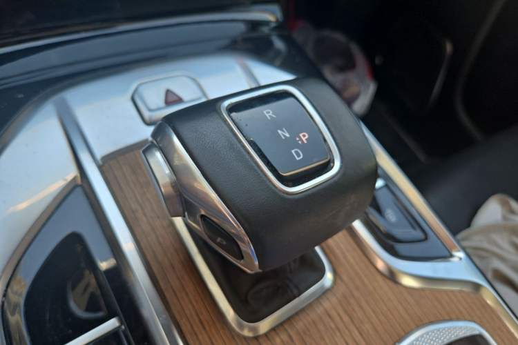 Used Hongqi E-HS9 2022 660 km Range Flagway Edition Six Seats Gear Lever