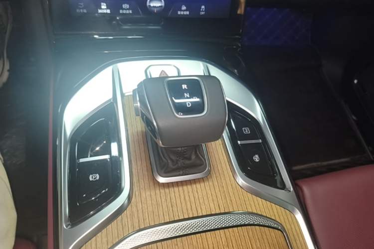 Used Hongqi E-HS9 2022 660 km Range Flagway Edition Six Seats Gear Lever