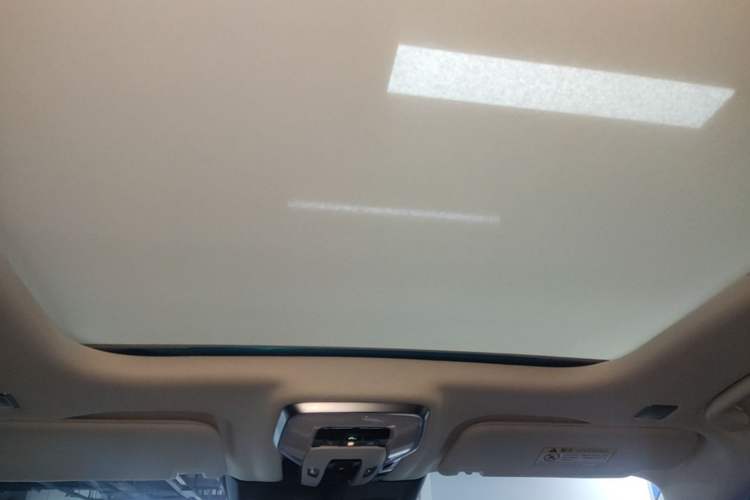 Used Hongqi E-HS9 2022 690 km Range Flagship Edition Six Seats Headliner
