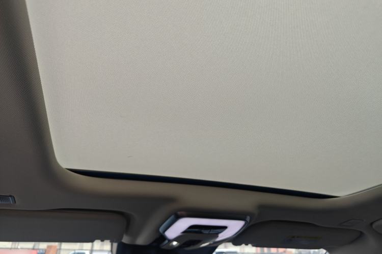 Used Hongqi E-HS9 2022 660 km Range Flagway Edition Six Seats Headliner