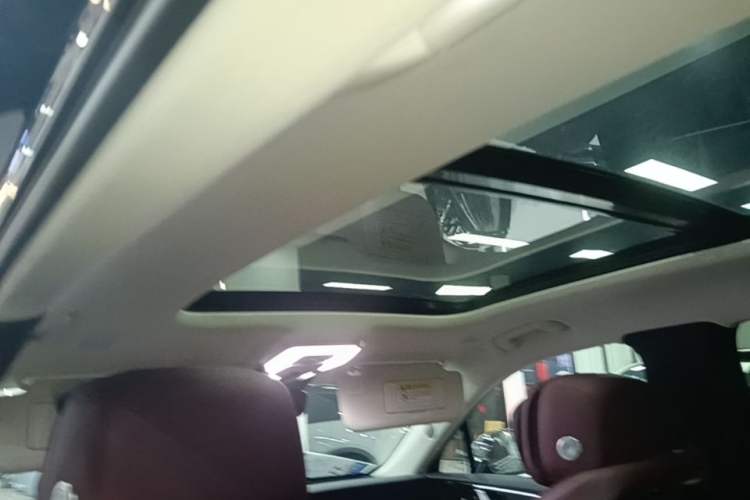 Used Hongqi E-HS9 2022 690 km Range Flagship Edition Six Seats Headliner