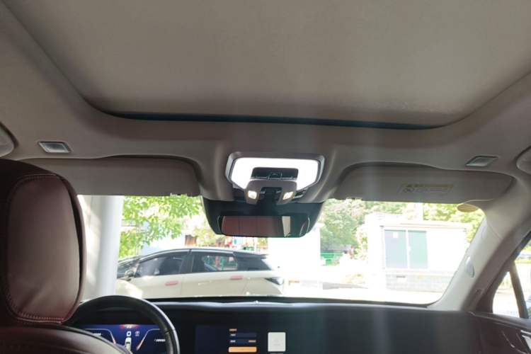 Used Hongqi E-HS9 2022 690 km Range Flagship Edition Six Seats Headliner