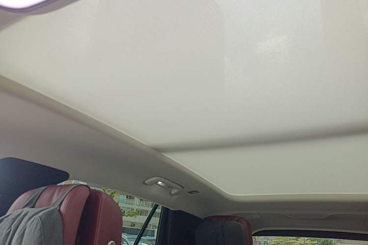 Used Hongqi E-HS9 2022 690 km Range Flagship Edition Six Seats Headliner