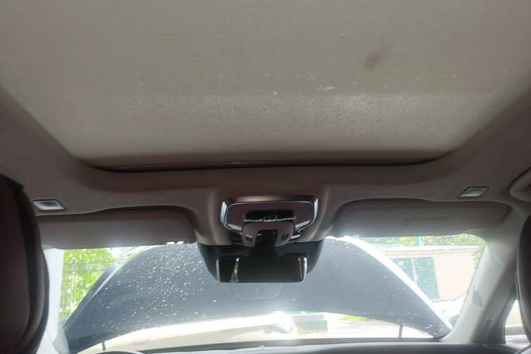 Used Hongqi E-HS9 2022 660 km Range Flagway Edition Six Seats Headliner