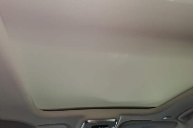 Used Hongqi E-HS9 2022 660 km Range Flagway Edition Six Seats Headliner