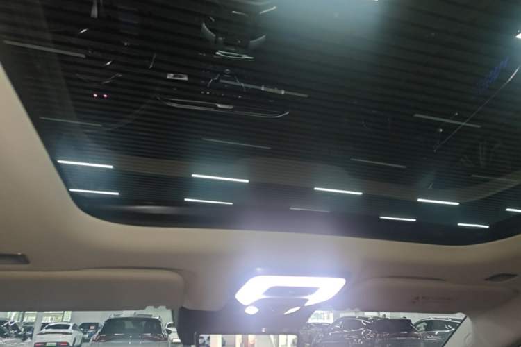 Used Hongqi E-HS9 2022 660 km Range Flagway Edition Six Seats Headliner