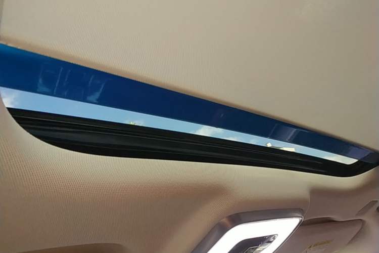 Used Hongqi E-HS9 2022 690 km Range Flagship Edition Six Seats Headliner