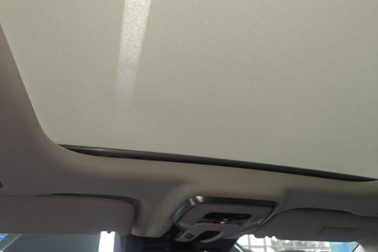 Used Hongqi E-HS9 2022 660 km Range Flagway Edition Six Seats Headliner