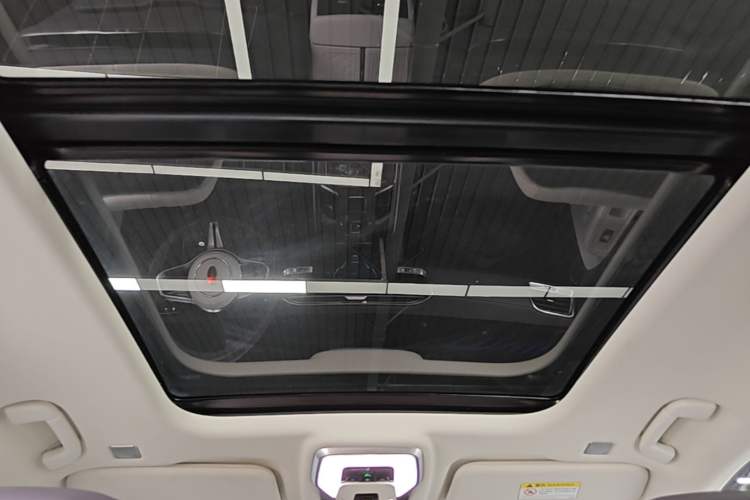 Used Hongqi E-HS9 2022 690 km Range Flagship Edition Six Seats Headliner