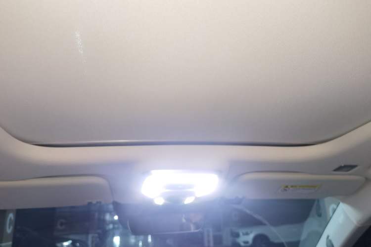 Used Hongqi E-HS9 2022 690 km Range Flagship Edition Six Seats Headliner
