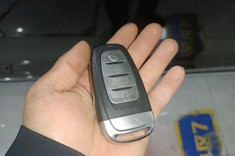 Used Hongqi E-HS9 2022 690 km Range Flagship Edition Six Seats Interior 1