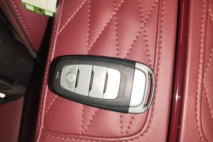 Used Hongqi E-HS9 2022 690 km Range Flagship Edition Six Seats Interior 1