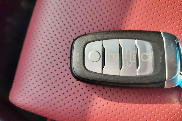 Used Hongqi E-HS9 2022 690 km Range Flagship Edition Six Seats Interior 1