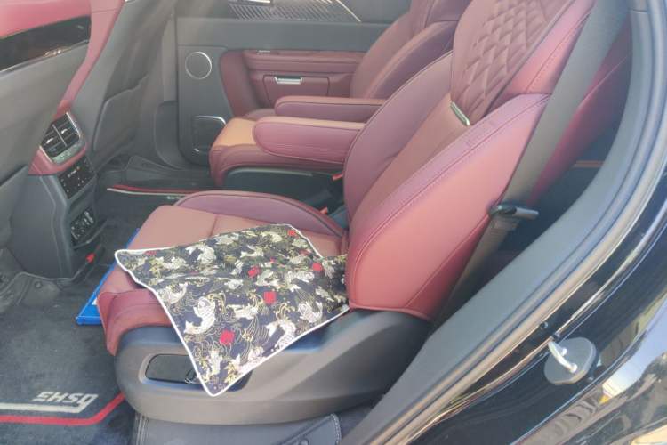 Used Hongqi E-HS9 2022 690 km Range Flagship Edition Six Seats Left Rear Seat