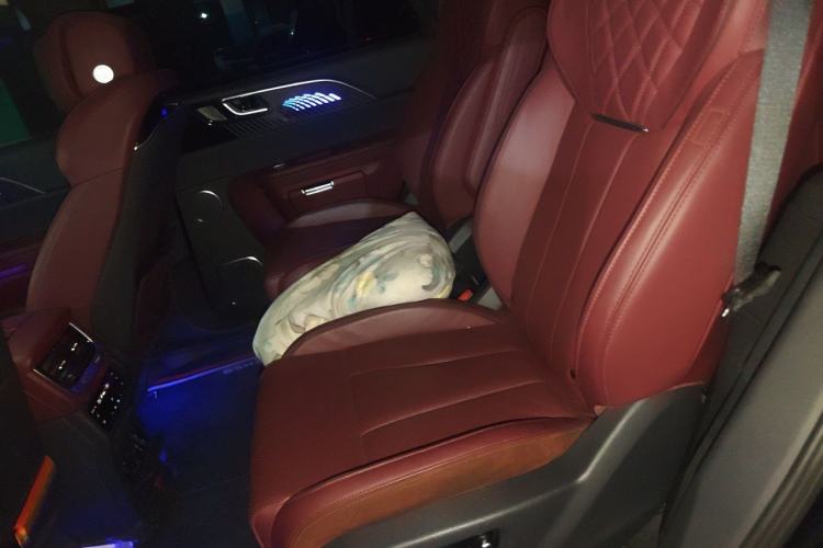 Used Hongqi E-HS9 2022 660 km Range Flagway Edition Six Seats Left Rear Seat