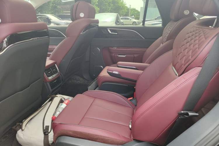 Used Hongqi E-HS9 2022 660 km Range Flagway Edition Six Seats Left Rear Seat