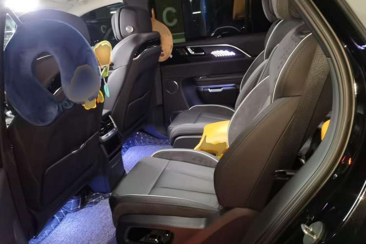 Used Hongqi E-HS9 2022 690 km Range Flagship Edition Six Seats Left Rear Seat