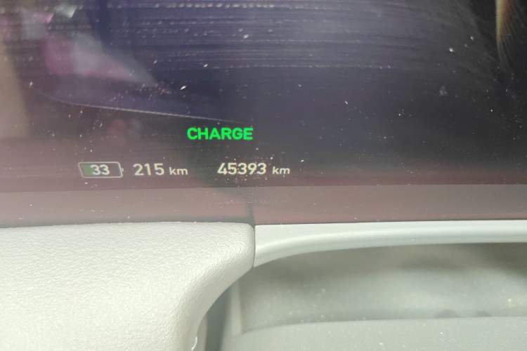 Used Hongqi E-HS9 2022 690 km Range Flagship Edition Six Seats Odometer Close Up