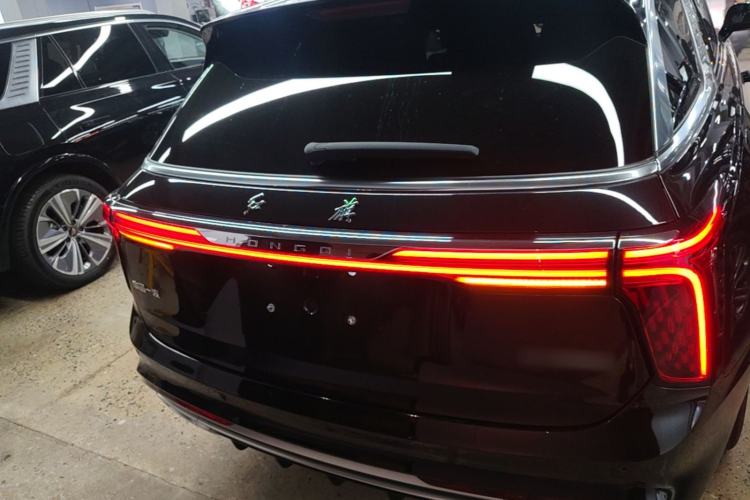 Used Hongqi E-HS9 2022 690 km Range Flagship Edition Six Seats Rear