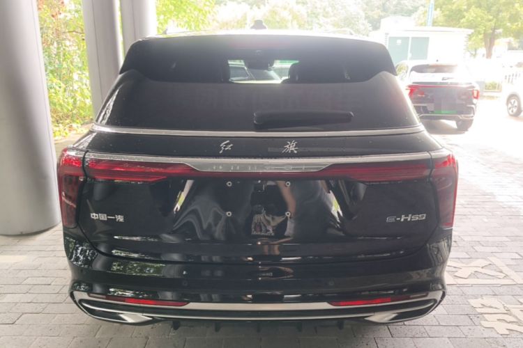 Used Hongqi E-HS9 2022 660 km Range Flagway Edition Six Seats Rear