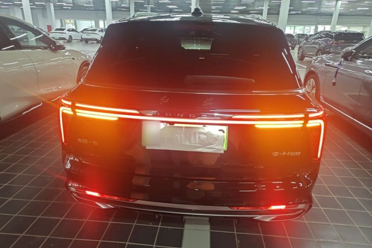 Used Hongqi E-HS9 2022 660 km Range Flagway Edition Six Seats Rear