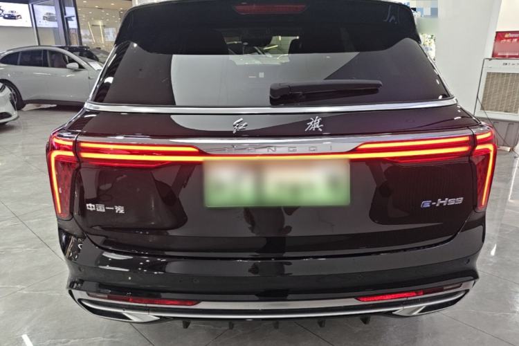 Used Hongqi E-HS9 2022 690 km Range Flagship Edition Six Seats Rear