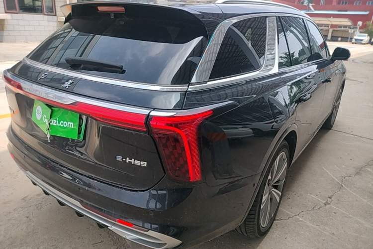 Used Hongqi E-HS9 2022 660 km Range Flagway Edition Six Seats Rear Right 45 Deg