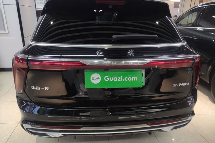 Used Hongqi E-HS9 2022 660 km Range Flagway Edition Six Seats Rear
