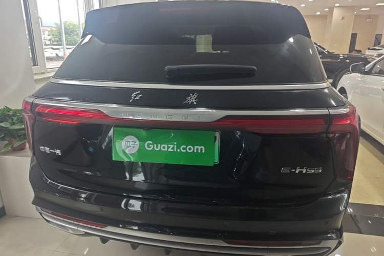 Used Hongqi E-HS9 2022 690 km Range Flagship Edition Six Seats Rear
