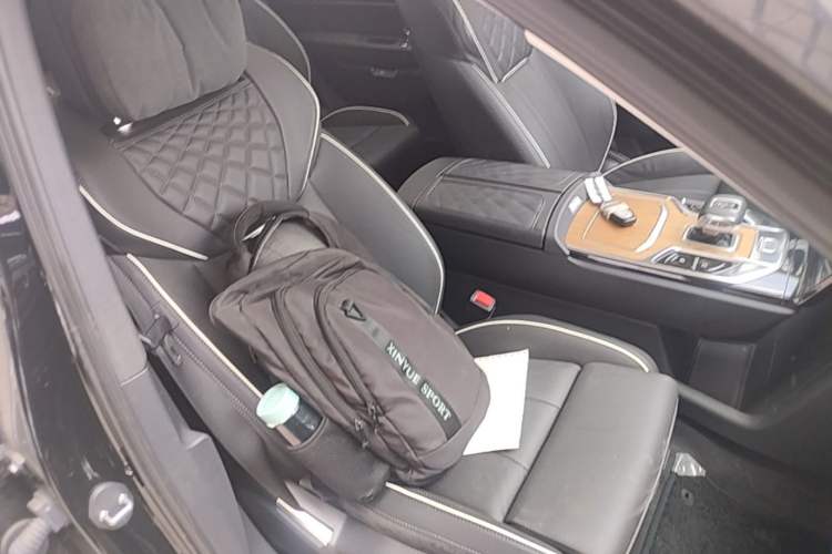 Used Hongqi E-HS9 2022 660 km Range Flagway Edition Six Seats Right Front Seat