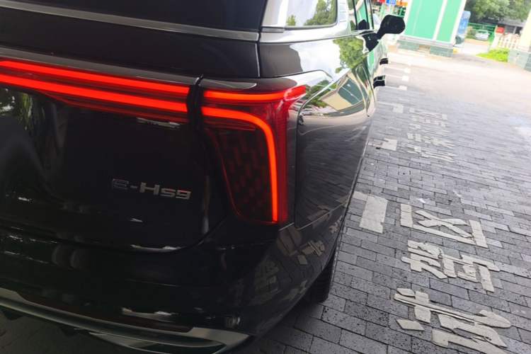 Used Hongqi E-HS9 2022 690 km Range Flagship Edition Six Seats Right Rear Taillight