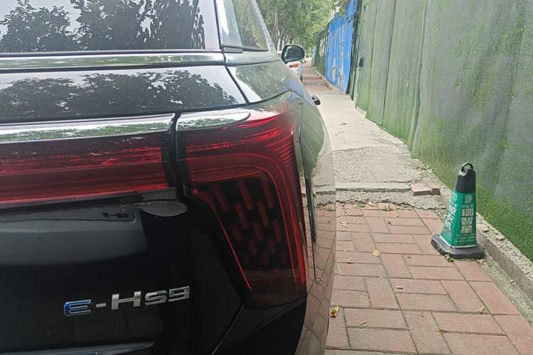Used Hongqi E-HS9 2022 690 km Range Flagship Edition Six Seats Right Rear Taillight