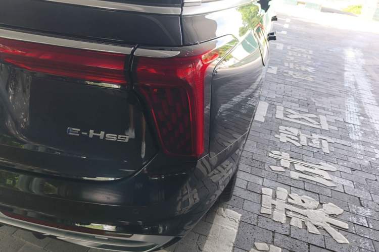 Used Hongqi E-HS9 2022 690 km Range Flagship Edition Six Seats Right Rear Taillight