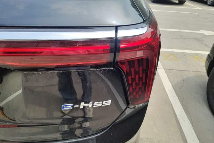 Used Hongqi E-HS9 2022 660 km Range Flagway Edition Six Seats Right Rear Taillight