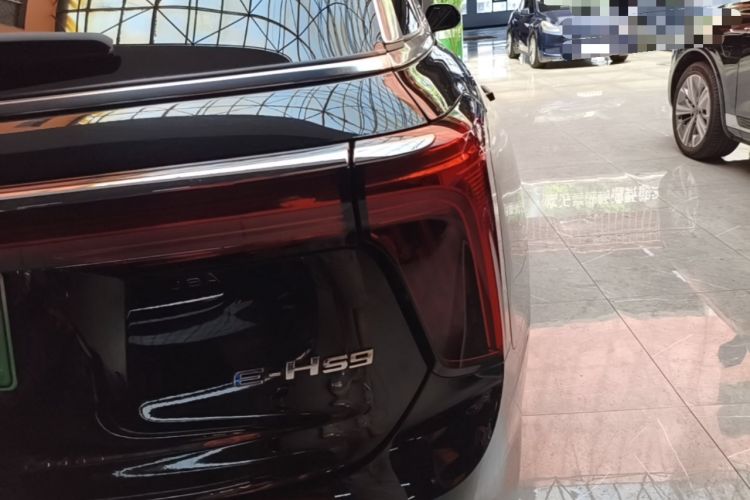 Used Hongqi E-HS9 2022 690 km Range Flagship Edition Six Seats Right Rear Taillight