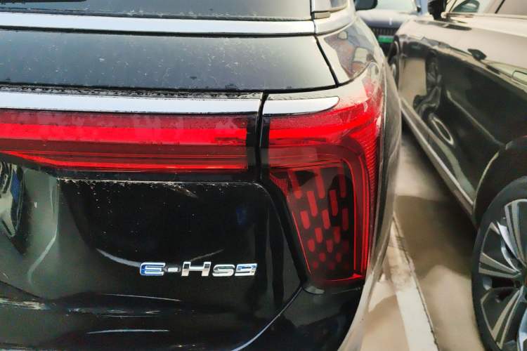 Used Hongqi E-HS9 2022 690 km Range Flagship Edition Six Seats Right Rear Taillight