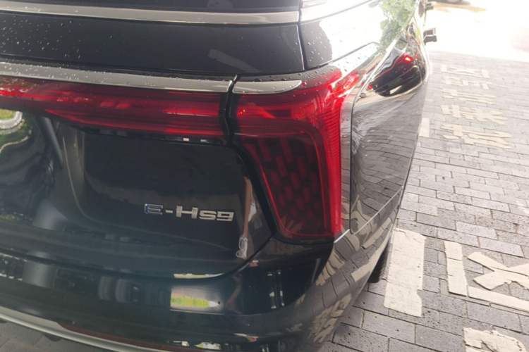 Used Hongqi E-HS9 2022 660 km Range Flagway Edition Six Seats Right Rear Taillight