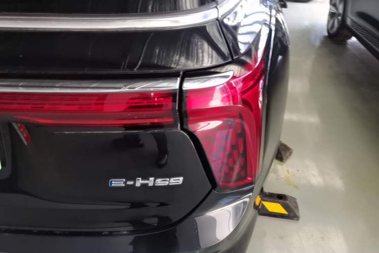 Used Hongqi E-HS9 2022 660 km Range Flagway Edition Six Seats Right Rear Taillight