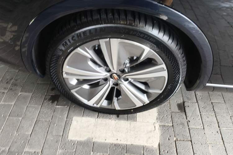 Used Hongqi E-HS9 2022 660 km Range Flagway Edition Six Seats Right Rear Wheel Hub