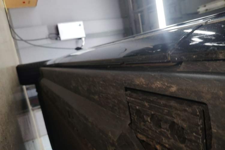 Used Hongqi E-HS9 2022 690 km Range Flagship Edition Six Seats Right Side Sill