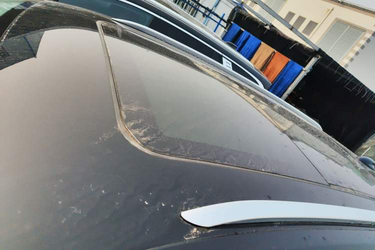 Used Hongqi E-HS9 2022 690 km Range Flagship Edition Six Seats Roof